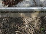 image of grave number 846847